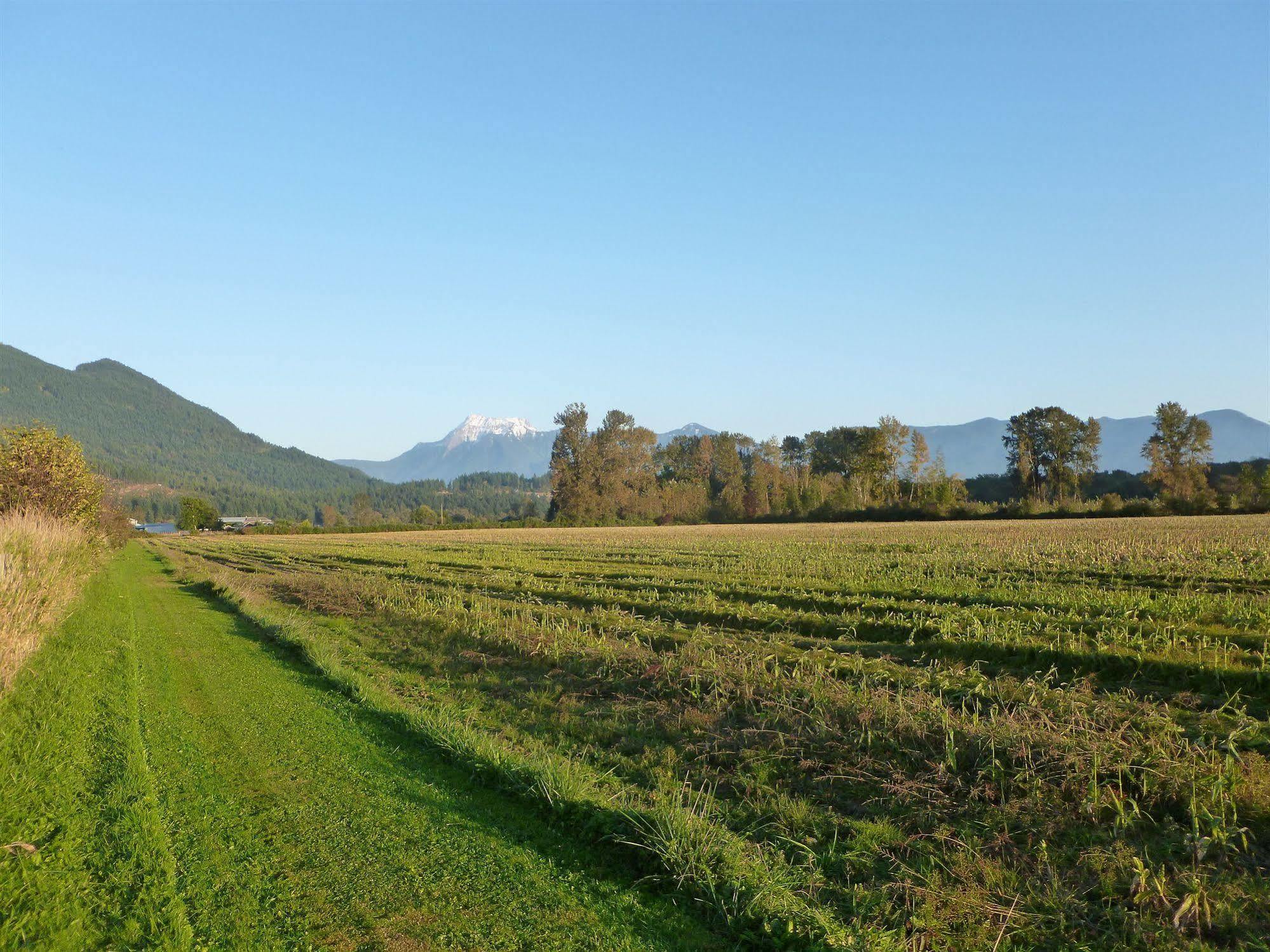 Harrison Mills Harrison Hammond House Farmstay מראה חיצוני תמונה